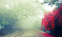 佛山禅城傲芙钢结构有限公司